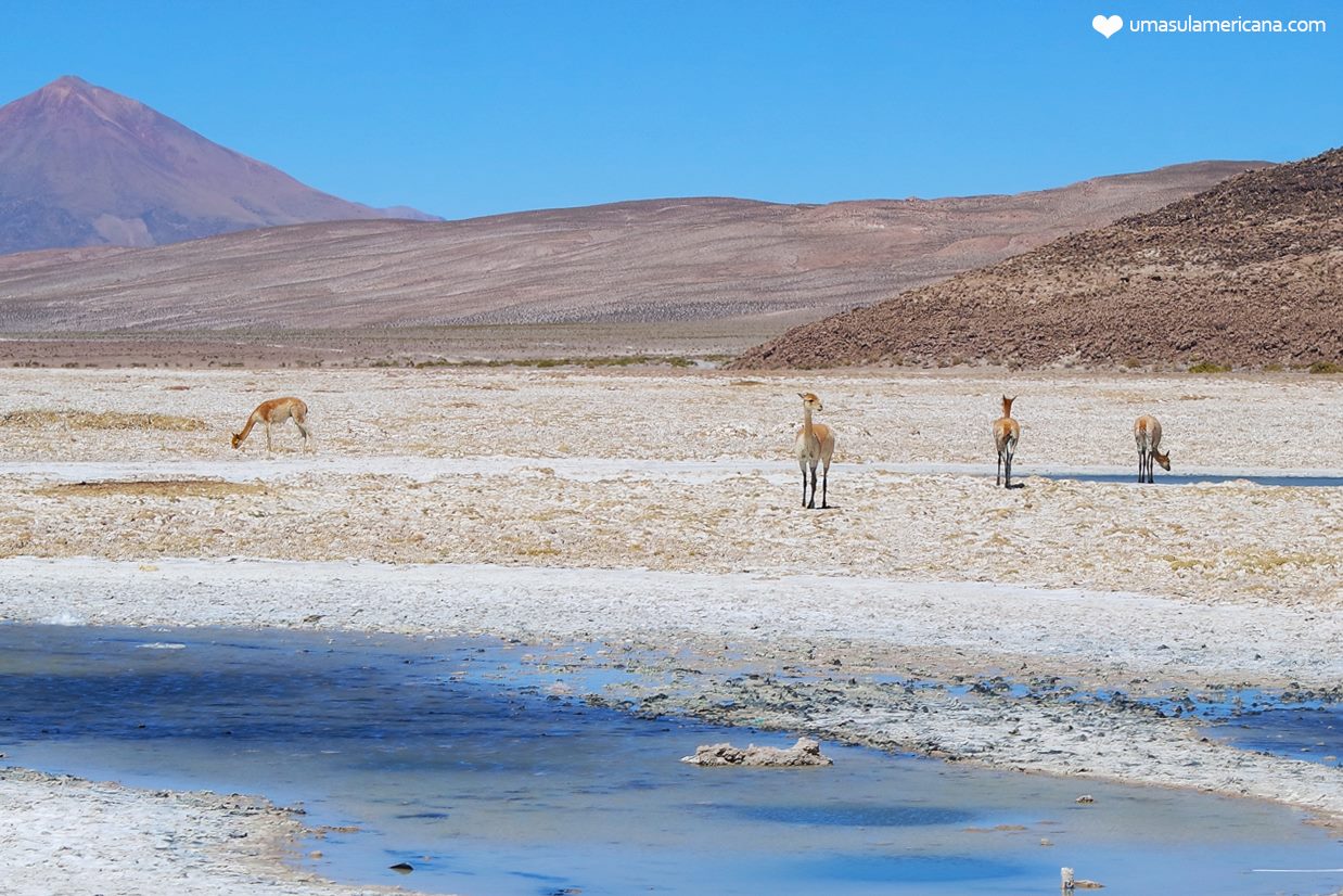 salar de uyuni