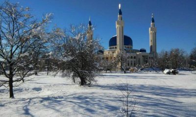 16807288 1158354384262798 2918417664033023920 n