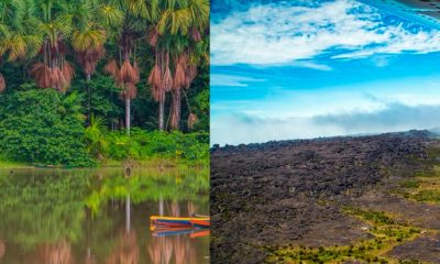 amazonasroraima mtur00