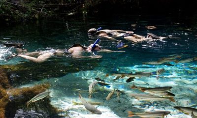 aquarionobres mtur01