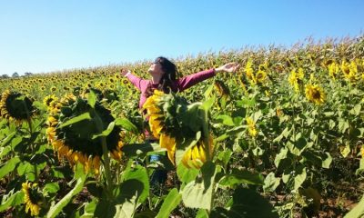 Mais viagens e liberdade