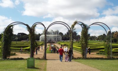 boradescobrir curitiba jbc