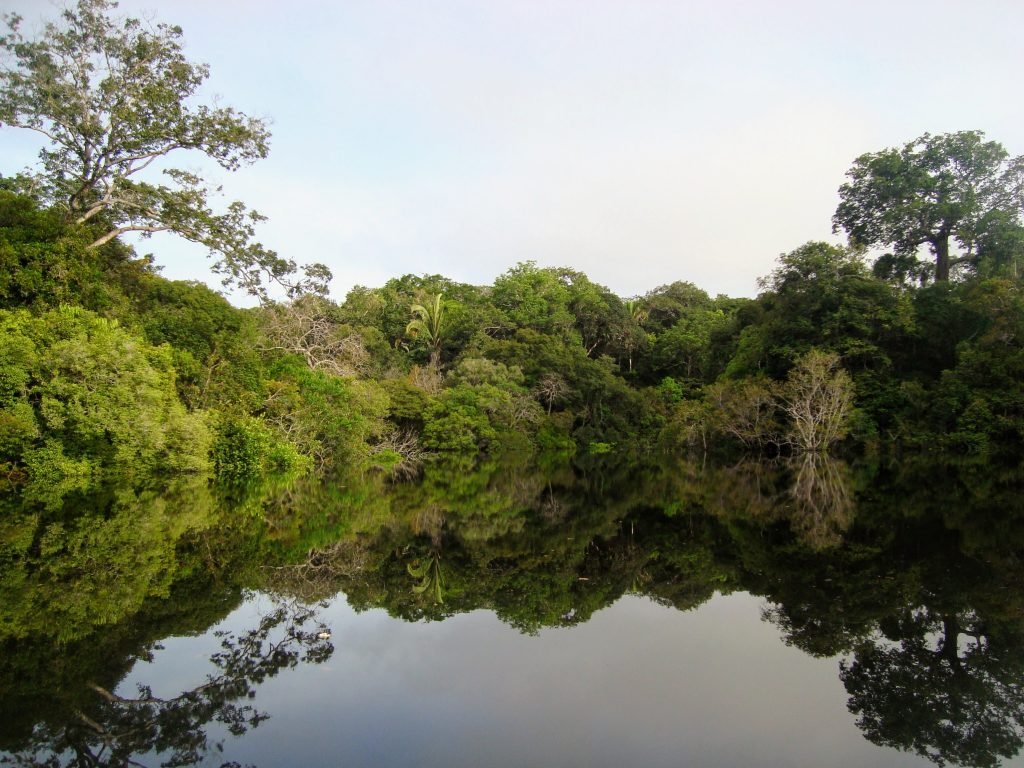 Amazônia