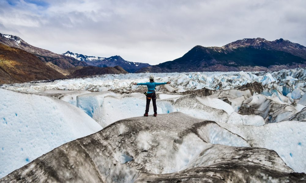 DSC 7981.jpg.f1e0a795320528c129d65927de3cc55c