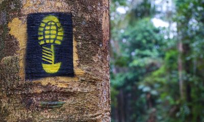 Travessia 3 1024x683