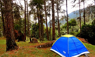 1017593 430340433730040 512831025 n