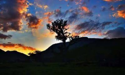 24058865 1494632637299405 1417314998554109188 n