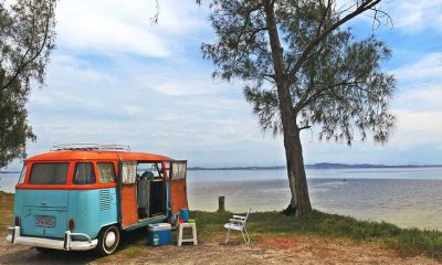 27066758 872059272954283 1997716963768683662 n