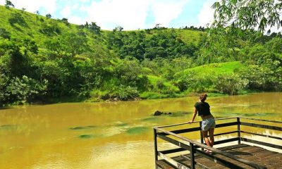 28276749 884118525081691 6932412698178463136 n