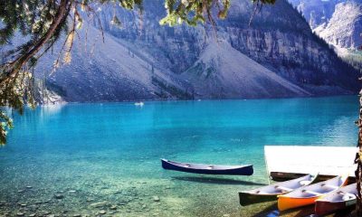 FB IMG 1516991661483