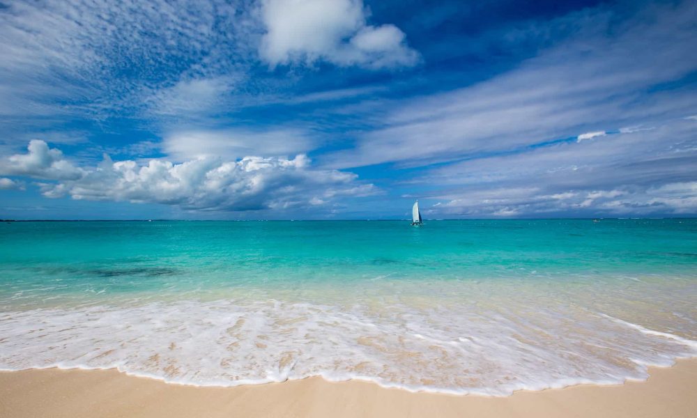 17038910 10154637273608649 7268080005981899617 o