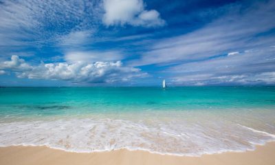 17038910 10154637273608649 7268080005981899617 o