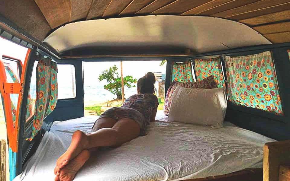 30710969 10156304421197929 6099878163423166464 n