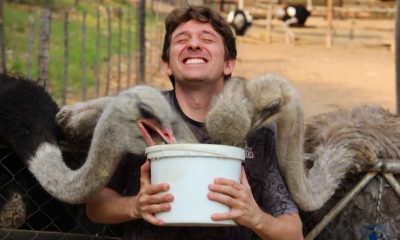 queromochilarafricadosul