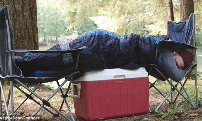 3669D6BC00000578 3697598 This young man gets full marks for ingenuity but zero for forwar a 73 1468943378225