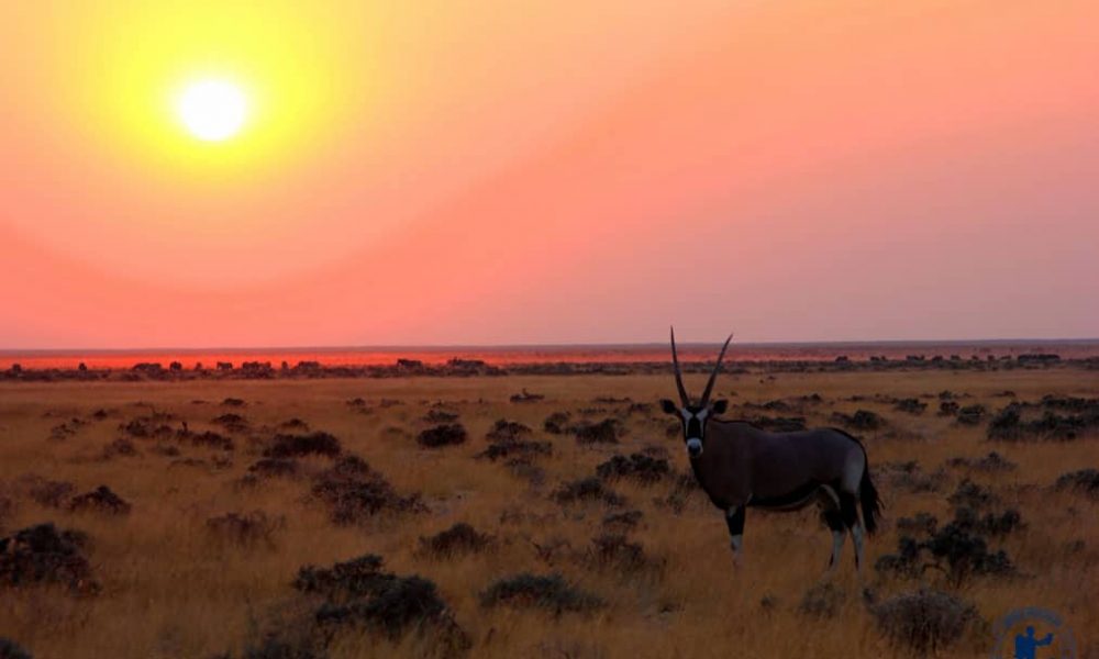 queromochilaretoshadestaque