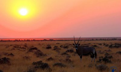 queromochilaretoshadestaque