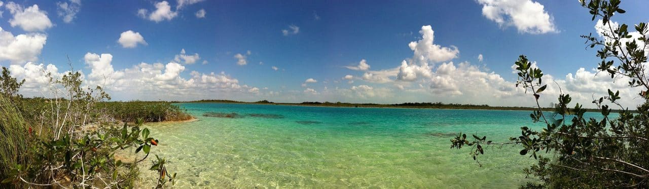 lagunabacalar victorgrigas