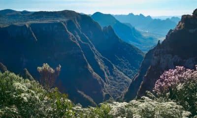parquenacionaldesaojoaquim