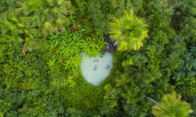 pesquisawwfibope2018