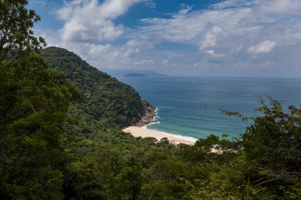 Praia Brava | Foto: Lucas Cuervo/Divulgação PESM
