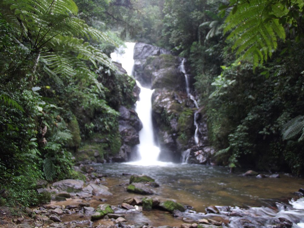 Cachoeira do Chá | Foto: Rafael Pereira Alves/CC