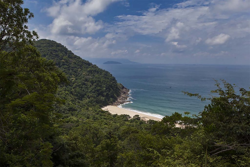 Praias do Litoral Norte de SP: Praia Brava