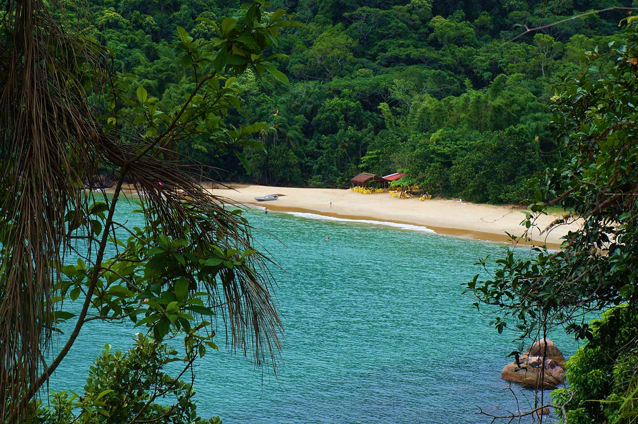 32 praias paradisíacas do Litoral Norte de SP 14 Praias do Litoral Norte de SP: Praia do Bonete em Ubatuba