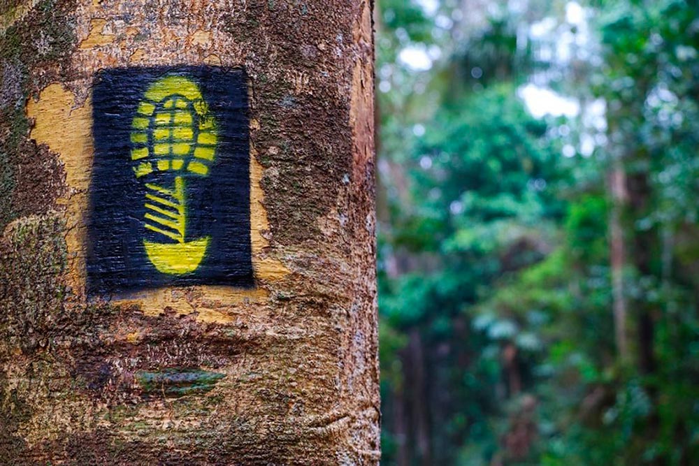 Os percursos são sinalizados com uma pegada amarela sobre uma base preta, indicando o sentido a ser percorrido | Foto: Duda Menegassi/Divulgação ICMBio.