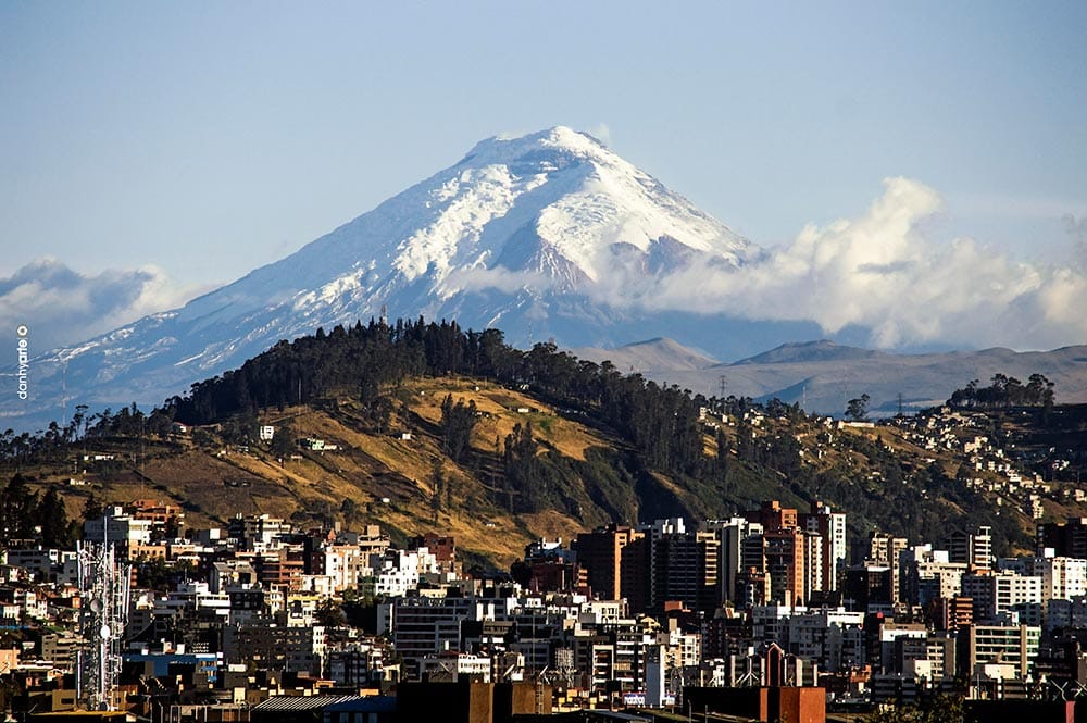 quito dannyarte