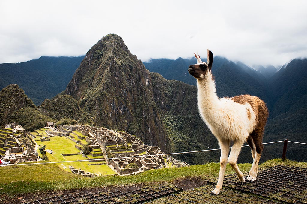 Entrar no Peru