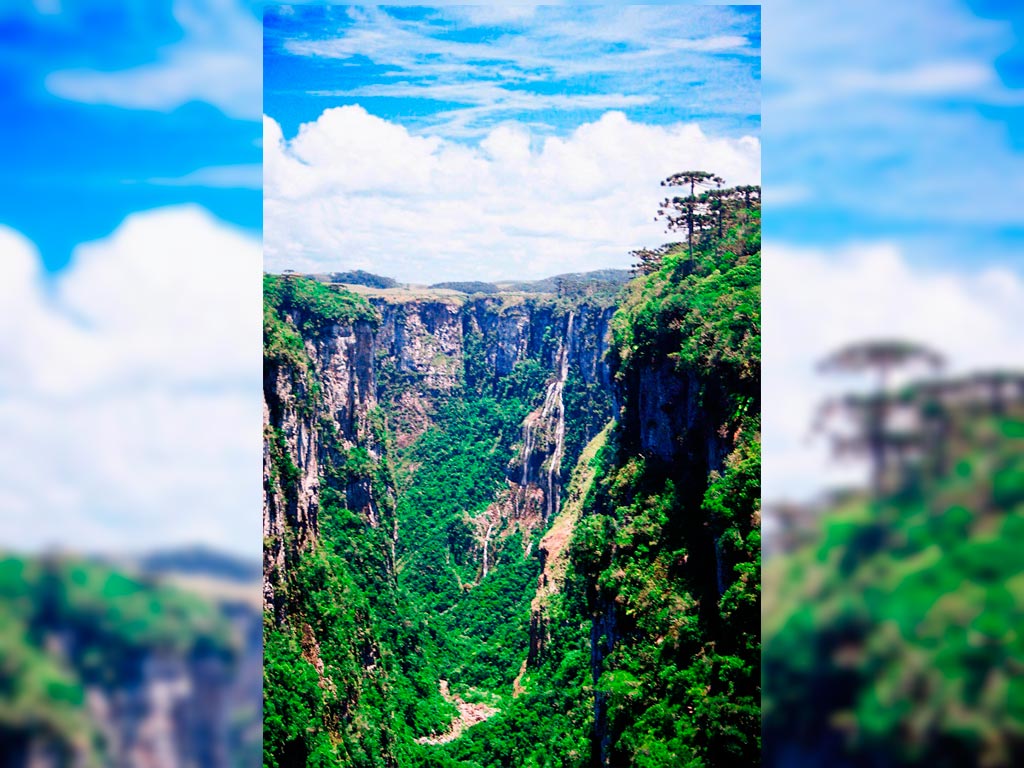 rotars 2305 camposdecima