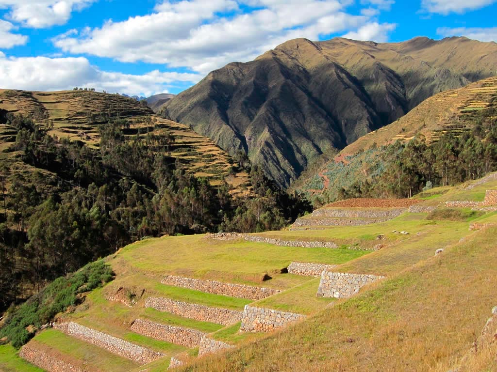 terracoschinchero davidstanley wikimedia