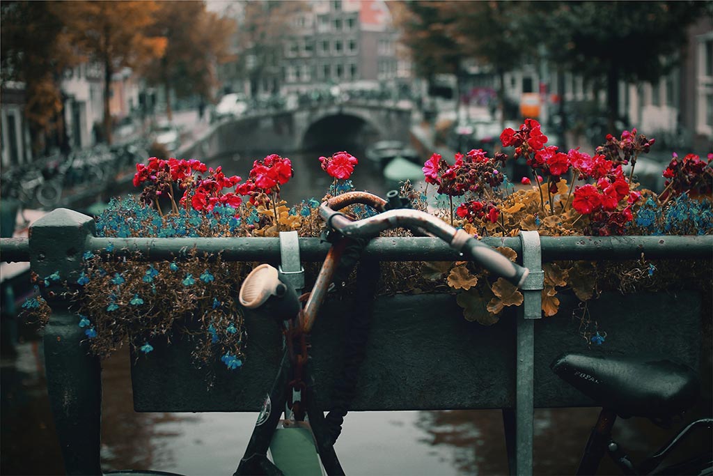 amsterdam nick scheerbart unsplash