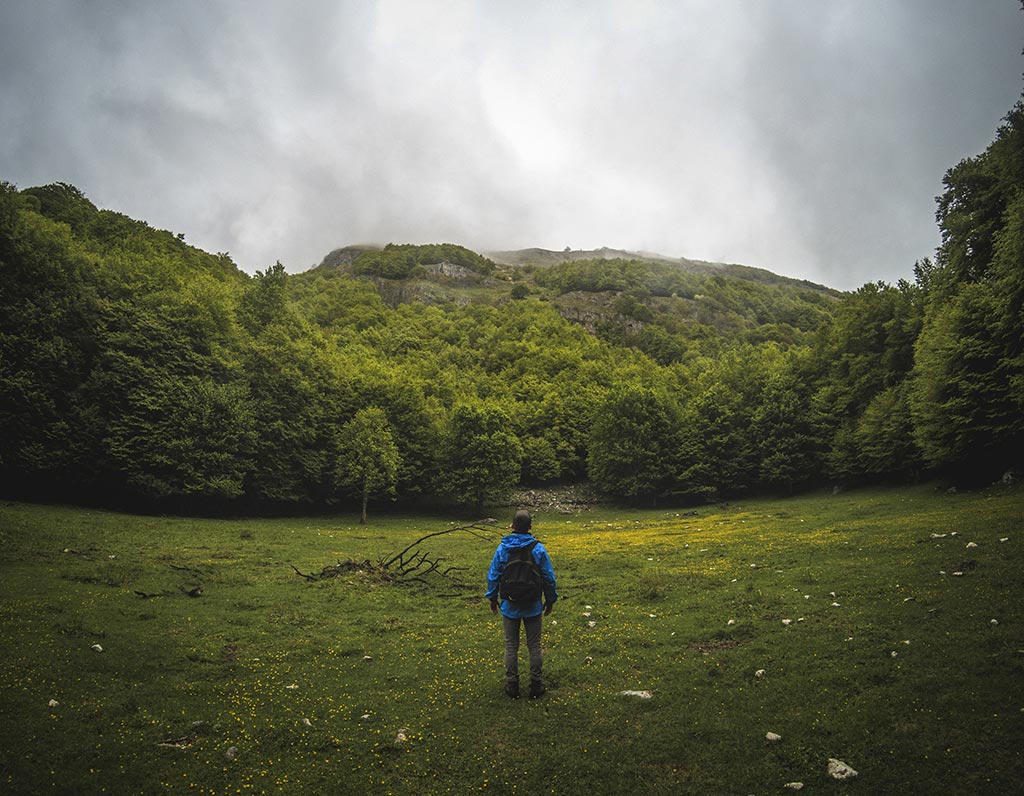 piluladenatureza fabrizio verrecchia unsplash