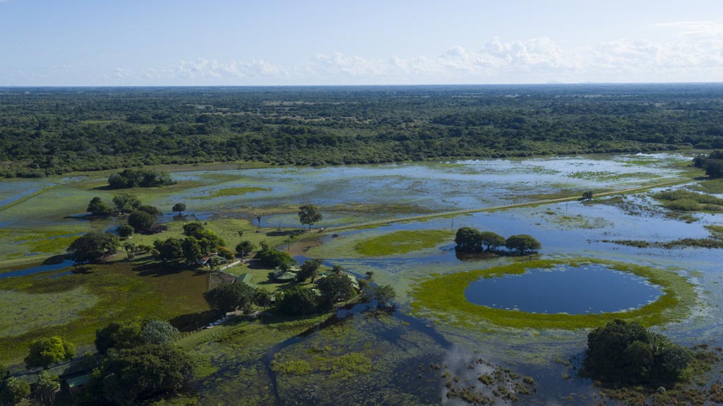 pantanalcorumba andremtur