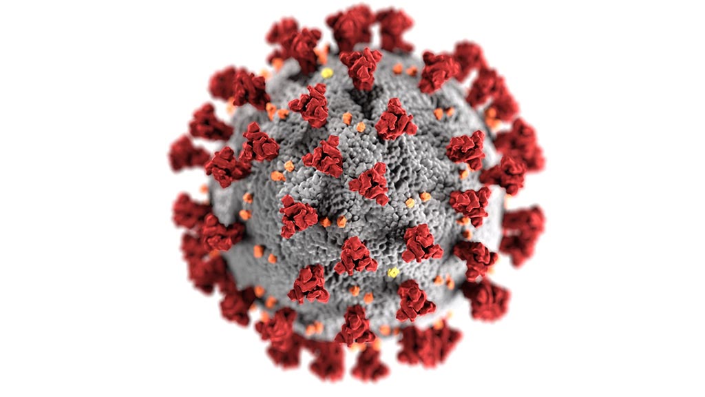 coronavirus cdc unsplash