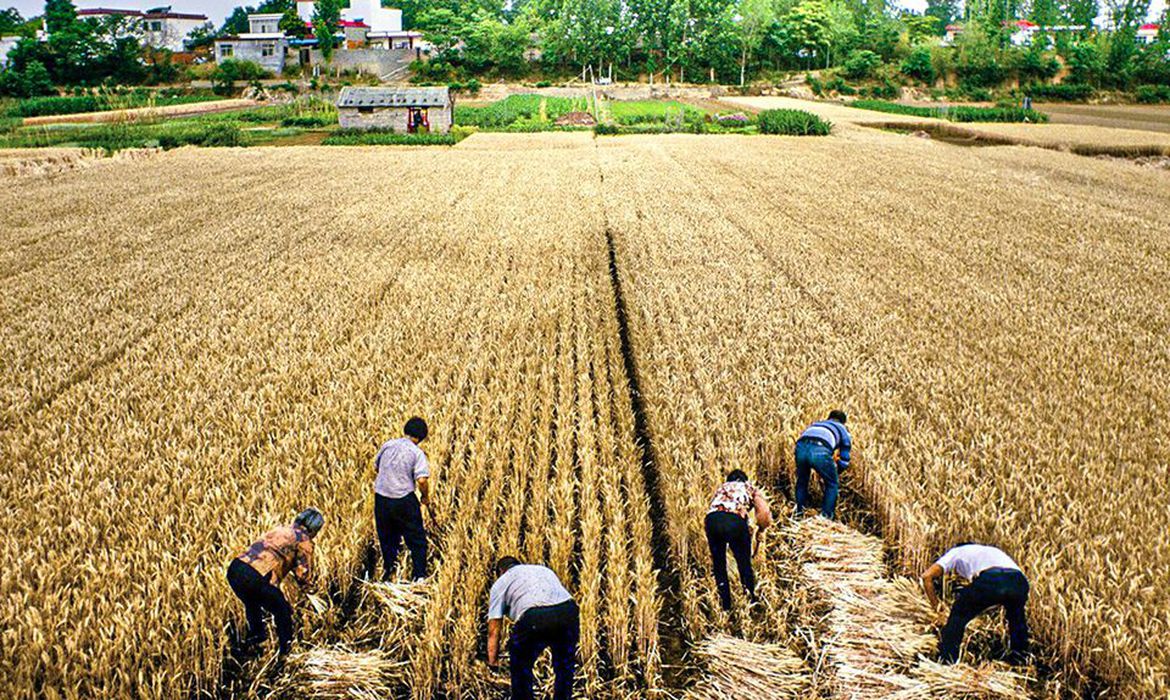 nadandoateomarficarazul