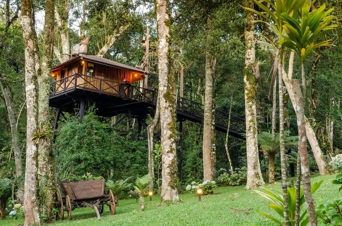 Casa na árvore: 5 opções perto de São Paulo 4 Airbnb casa na árvore - Casa na Árvore nas Montanhas (c/ café da manhã)