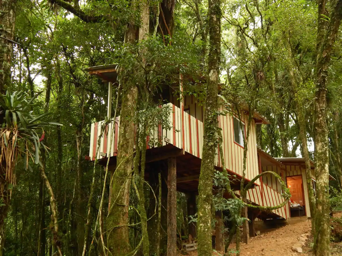Casa na árvore: 5 opções perto de São Paulo 6 Airbnb casa na árvore - Casa na Árvore - Recanto da Natureza