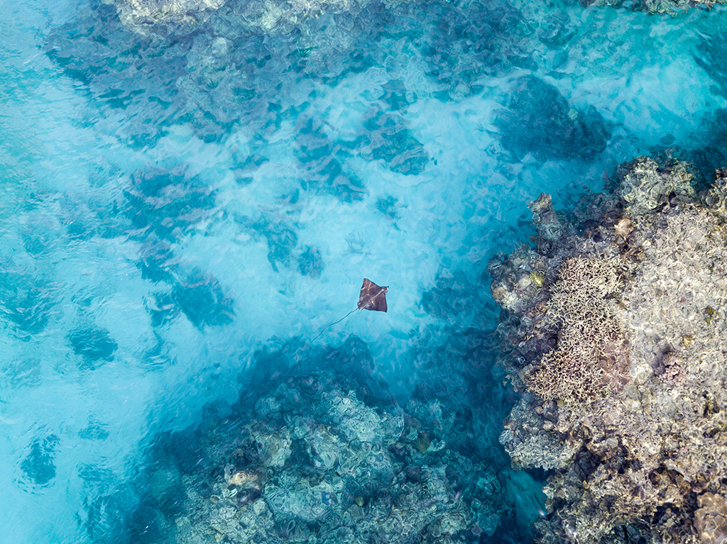 NewCaledonia listanetgeo CHRIS HOARE EYEEM GETTY IMAGES