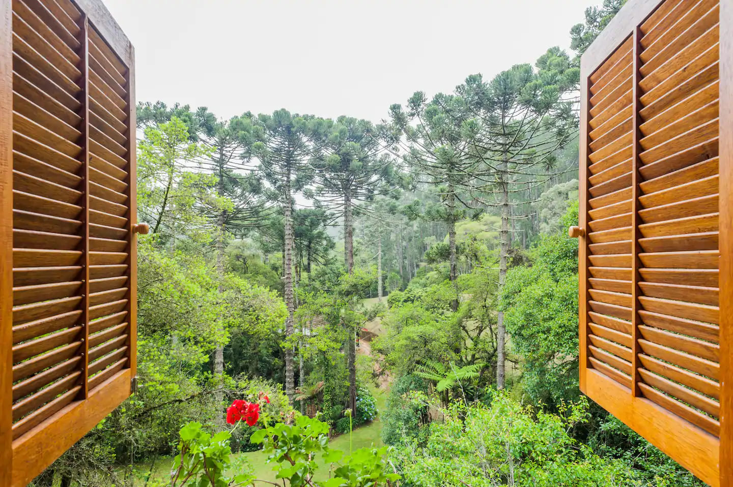 Airbnb em Campos do Jordão: casas são opção para quem busca ainda mais isolamento 1 Airbnb Campos do Jordão - Chalé Araucária