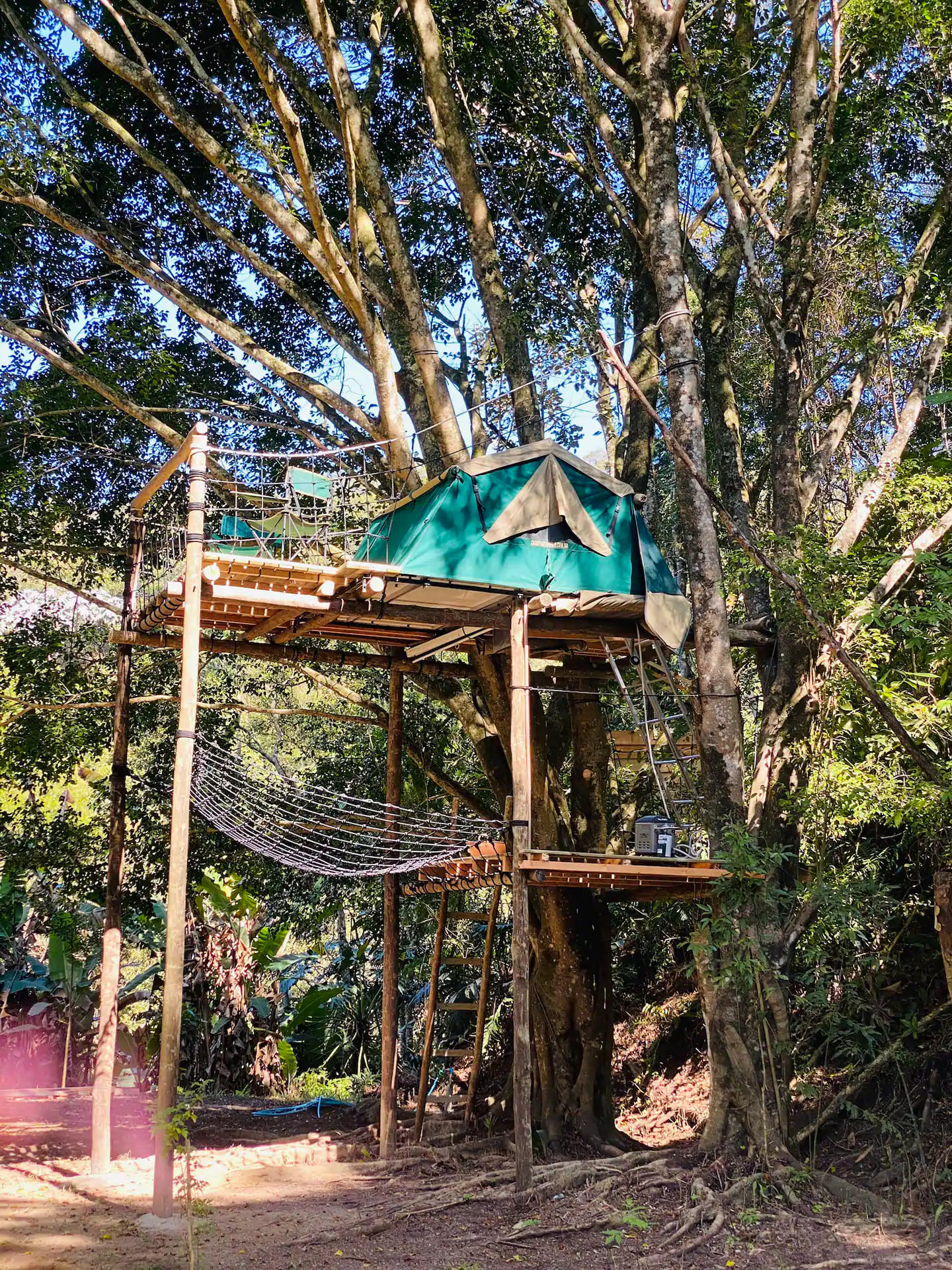 Fazenda orgânica oferece barraca na árvore, trailers e "Man cave" perto de SP 1 Airbnb: Barraca na árvore dentro de uma fazenda orgânica
