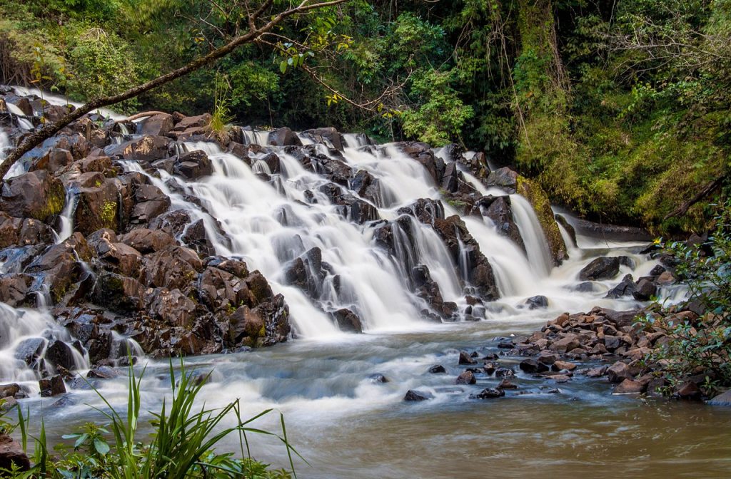 Cachoeira do Chicão I em Faxinal -PR - Foto: Alessandro Proença / Wikimedia Commons (CC BY-SA 4.0)