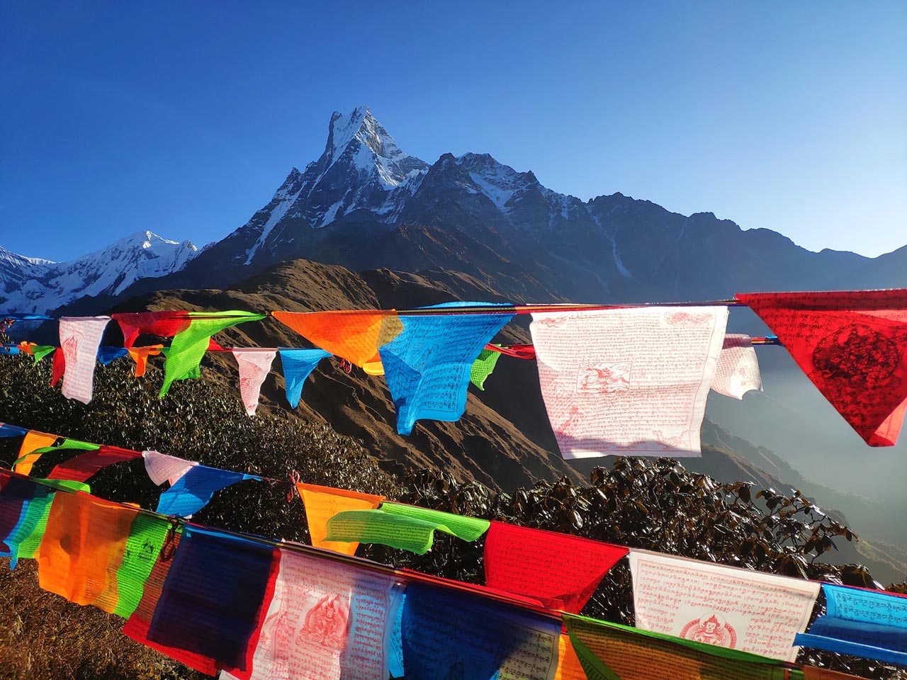 Seguro Viagem Nepal - Na imagem em destaque o acampamento base da montanha de Mardi Himal em Lumle no Nepal - Foto de Sanjay Hona / Unsplash