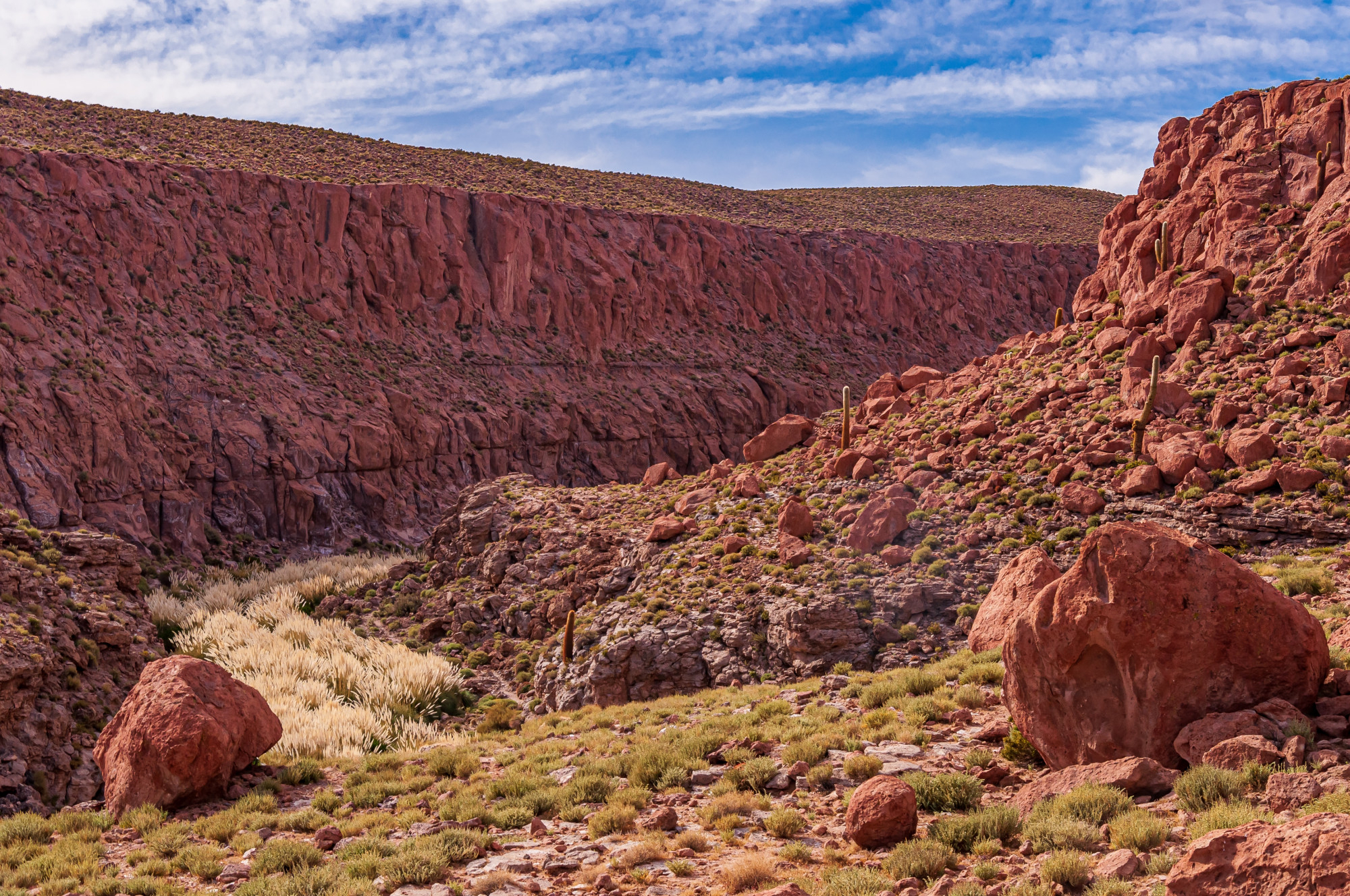 Deserto do Atacama ChileTur