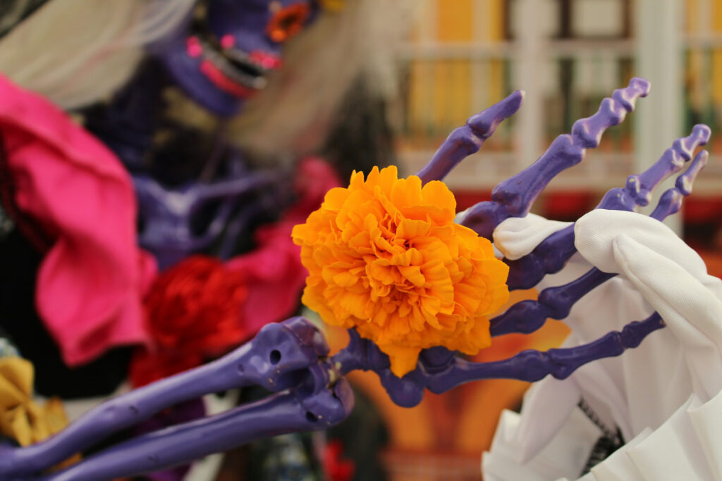 dia dos mortos no mexico rebecca niver