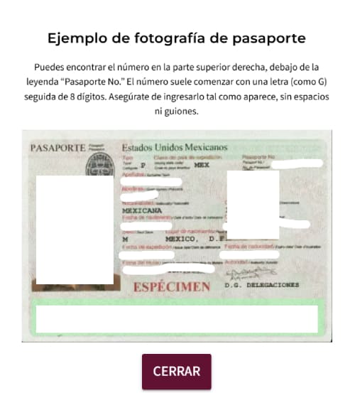 como tirar visto eletronico mexico 07 1 1