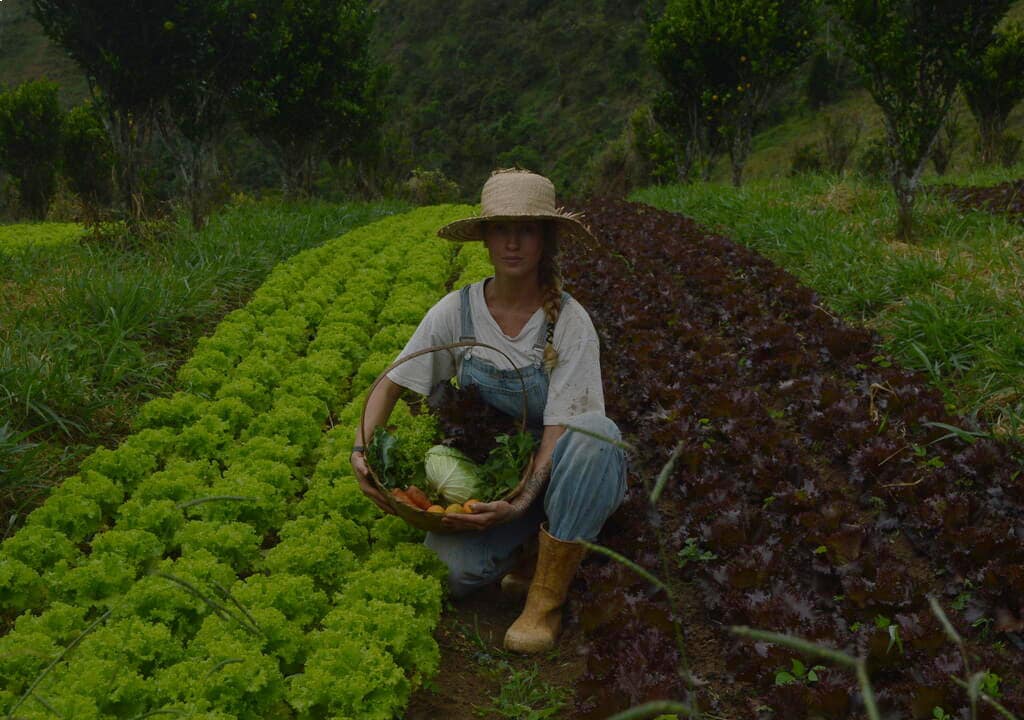 voluntariadoagroeervasteresopolis wp 1 1