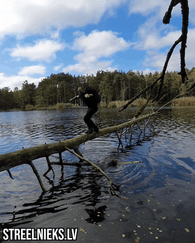 saco estanque protege